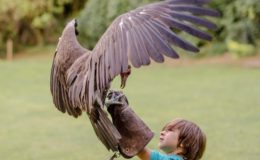 IMG_0421
